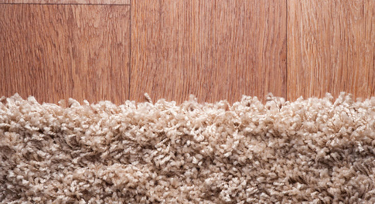 Should I Install Carpet or Wood Flooring in My Home?