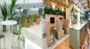 The Benefits of Biophilic Design in Modern Workplaces
